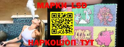индика Кингисепп