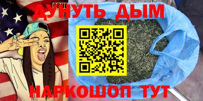 индика Кингисепп