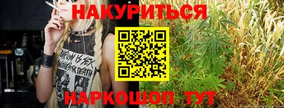 индика Кингисепп