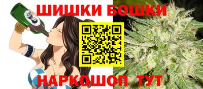 индика Кингисепп