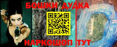 индика Кингисепп