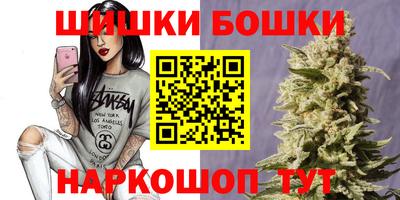 индика Кингисепп