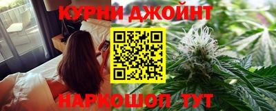 индика Кингисепп