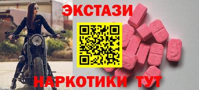 индика Кингисепп