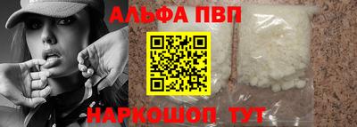 индика Кингисепп