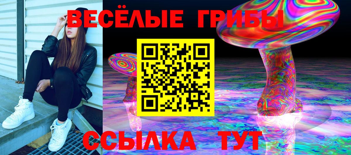 Галлюциногенные грибы MAGIC MUSHROOMS Южно-Сахалинск
